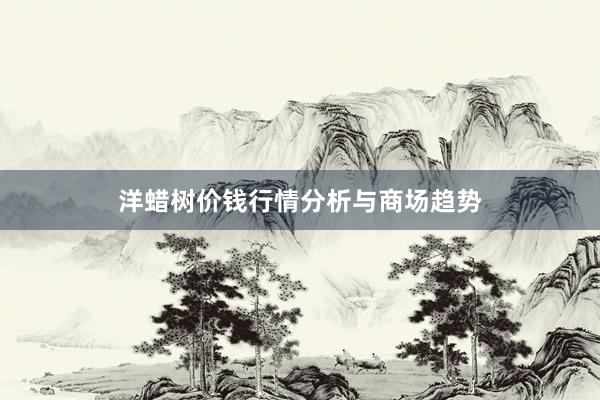 洋蜡树价钱行情分析与商场趋势