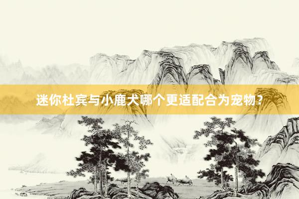 迷你杜宾与小鹿犬哪个更适配合为宠物?